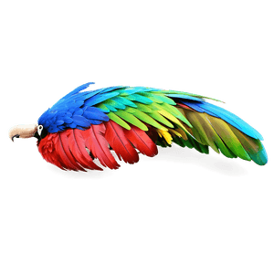 Vibrant Macaw Feather PNG ydi56 PNG image with transparent background