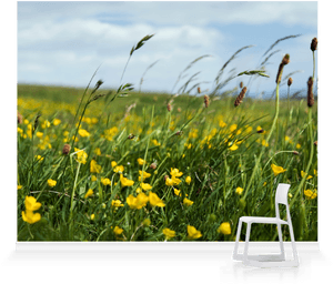 Grass, HD Png Download PNG with transparent background