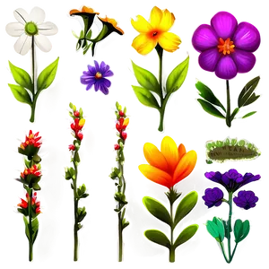 Vibrant Meadow Wildflowers Png 06202024 PNG Image