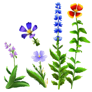 Vibrant Meadow Wildflowers PNG lpk PNG with transparent background