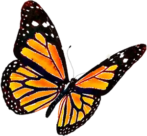 Vibrant Monarch Butterfly Art PNG Image