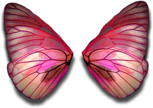 Fairy Wings Butterflywings Fairywings Faerywings Butterfly - Fairy Wings Red Png, Transparent Png PNG