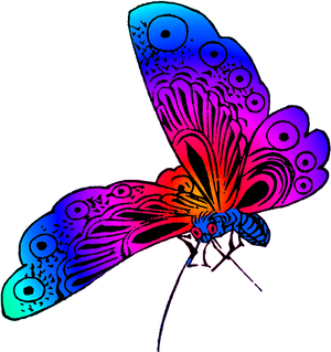 Vibrant Neon Butterfly Art PNG image with transparent background