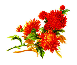 Vibrant_ Orange_ Chrisantemum_ Floral_ Artwork PNG with transparent background