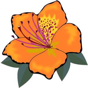 Orange Flower Clipart - Orange Flowers Clip Art, HD Png Download PNG