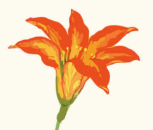 Vibrant Orange Flower Illustration PNG with transparent background