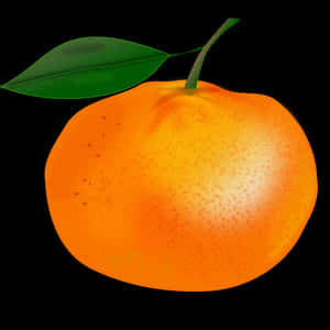 Vibrant Orange Fruit Illustration PNG image with transparent background