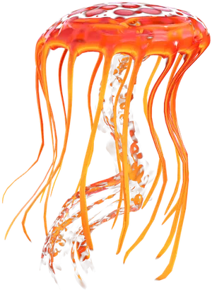 Vibrant Orange Jellyfish Graphic PNG Image