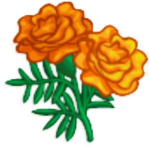 Marigolds Png Transparent - Marigold Clipart, Png Download PNG image with transparent background