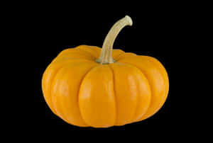 Vibrant Orange Pumpkin Black Background PNG image with transparent background