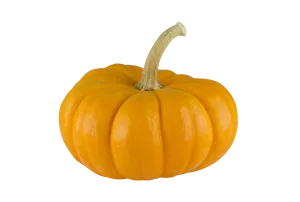 Vibrant Orange Pumpkin Black Background PNG Image