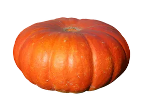 Vibrant Orange Pumpkin.png PNG Image