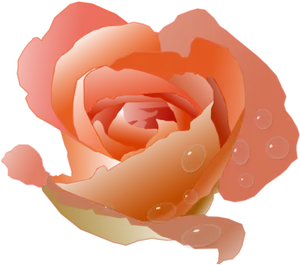 Vibrant Orange Rose Digital Artwork PNG Image