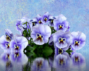 Vibrant Pansies Reflection PNG image with transparent background