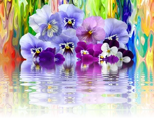 Vibrant Pansies Reflection Artwork PNG Image