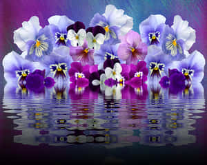 Vibrant Pansies Reflection PNG image with transparent background