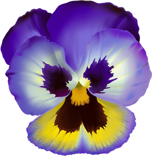 Violet Flower Transparent Clip Art - Violet Flower No Background, HD Png Download PNG with transparent background