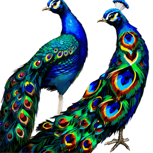 Vibrant Peacock Colors PNG 11 PNG image with transparent background