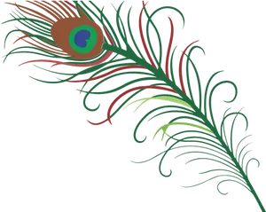 Vibrant_ Peacock_ Feather_ Artwork PNG Image