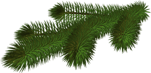 Vibrant_ Pine_ Branch_3 D_ Render PNG image with transparent background