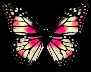 Butterfly Pink And Black, HD Png Download PNG