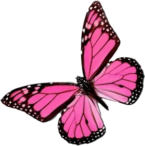 Vibrant_ Pink_ Butterfly_ Black_ Background.png PNG Image