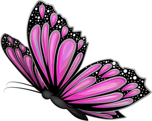 Vibrant Pink Butterfly Graphic PNG Image