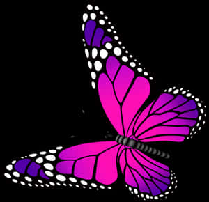 Butterfly Pink Purple Clip Art - Butterfly Pink And Purple, HD Png Download PNG