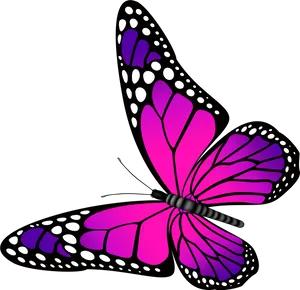 Vibrant Pink Butterfly Graphic PNG Image