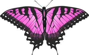 Vibrant Pink Butterfly Illustration PNG Image