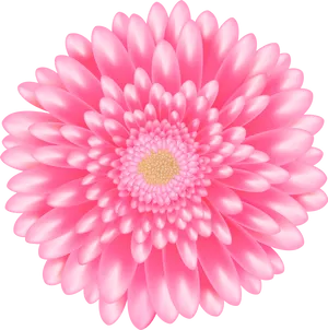 Vibrant Pink Daisy Flower PNG Image