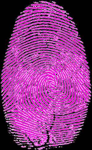 Vibrant Pink Fingerprint Pattern PNG image with transparent background