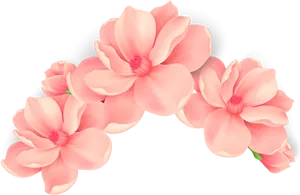 Vibrant Pink Flowers Black Background PNG Image