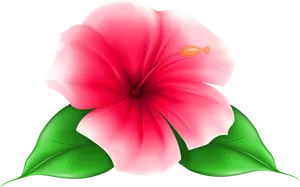 Vibrant Pink Hibiscus Flower PNG Image