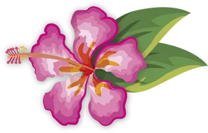 Vibrant Pink Hibiscus Vector PNG Image