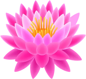 Vibrant_ Pink_ Lotus_ Illustration PNG Image