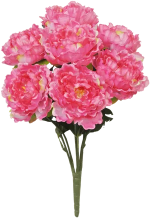 Vibrant Pink Peony Bouquet.png PNG Image