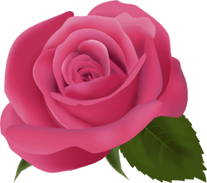 Clipart Bow Dark Pink Flower - Transparent Background Pink Flower Png, Png Download PNG image with transparent background