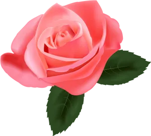 Vibrant Pink Rose Graphic PNG Image