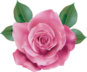 Vibrant_ Pink_ Rose_ Illustration.png PNG Image