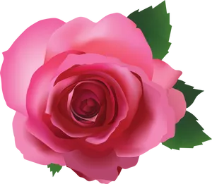 Vibrant_ Pink_ Rose_ Illustration.png PNG Image