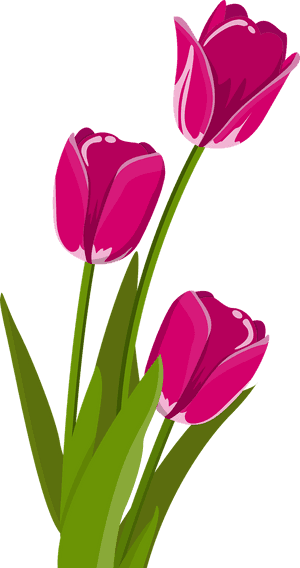 Bunga Tulip Vektor - Bunga Vektor Png, Transparent Png PNG