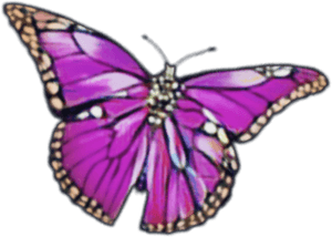 Vibrant Purple Butterfly Illustration PNG image with transparent background