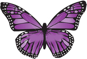 Vibrant Purple Butterfly Illustration PNG image with transparent background