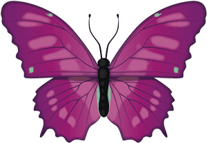 Vibrant Purple Butterfly Illustration PNG image with transparent background