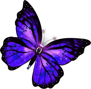 Vibrant Purple Butterfly Illustration PNG Image