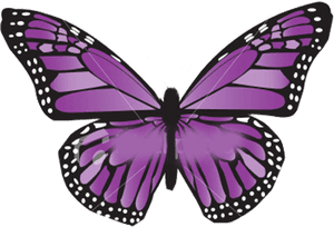 Vibrant Purple Butterfly Illustration PNG image with transparent background