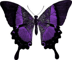 Vibrant Purple Butterfly Illustration PNG image with transparent background
