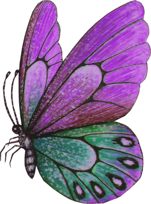 Vibrant Purple Butterfly Illustration PNG image with transparent background