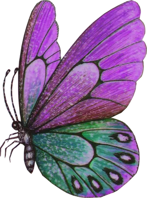 Vibrant Purple Butterfly Illustration PNG Image